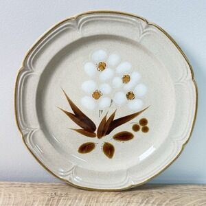Vtg Stoneware Classics Hearthside Dinner Plates Castlewood 10 5/8" Boho 3